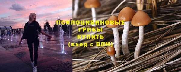 кристаллы Вяземский