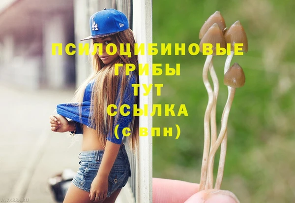 кристаллы Вяземский